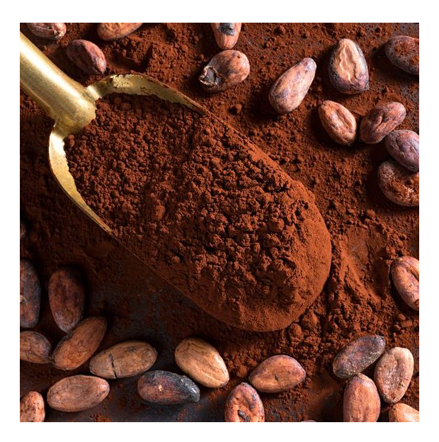 PREMIUM ALKALIZED COCOA POWDER – 10–12% FAT | 97% COCOA | HALAL | 25KG 3