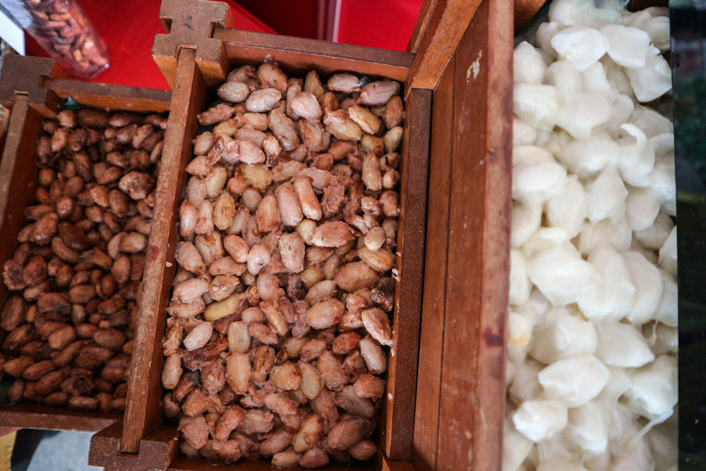 PREMIUM VIETNAMESE EXPORT-GRADE COCOA BEANS – FERMENTED & SUN-DRIED | CHOCOLATE FACTORY SUPPLY 3