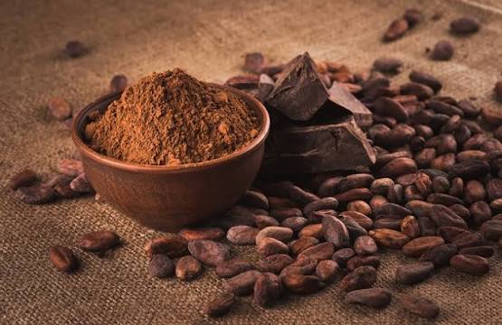PREMIUM VIETNAMESE FERMENTED COCOA BEANS – CLEAN & SUN-DRIED | INDUSTRIAL SUPPLY 3