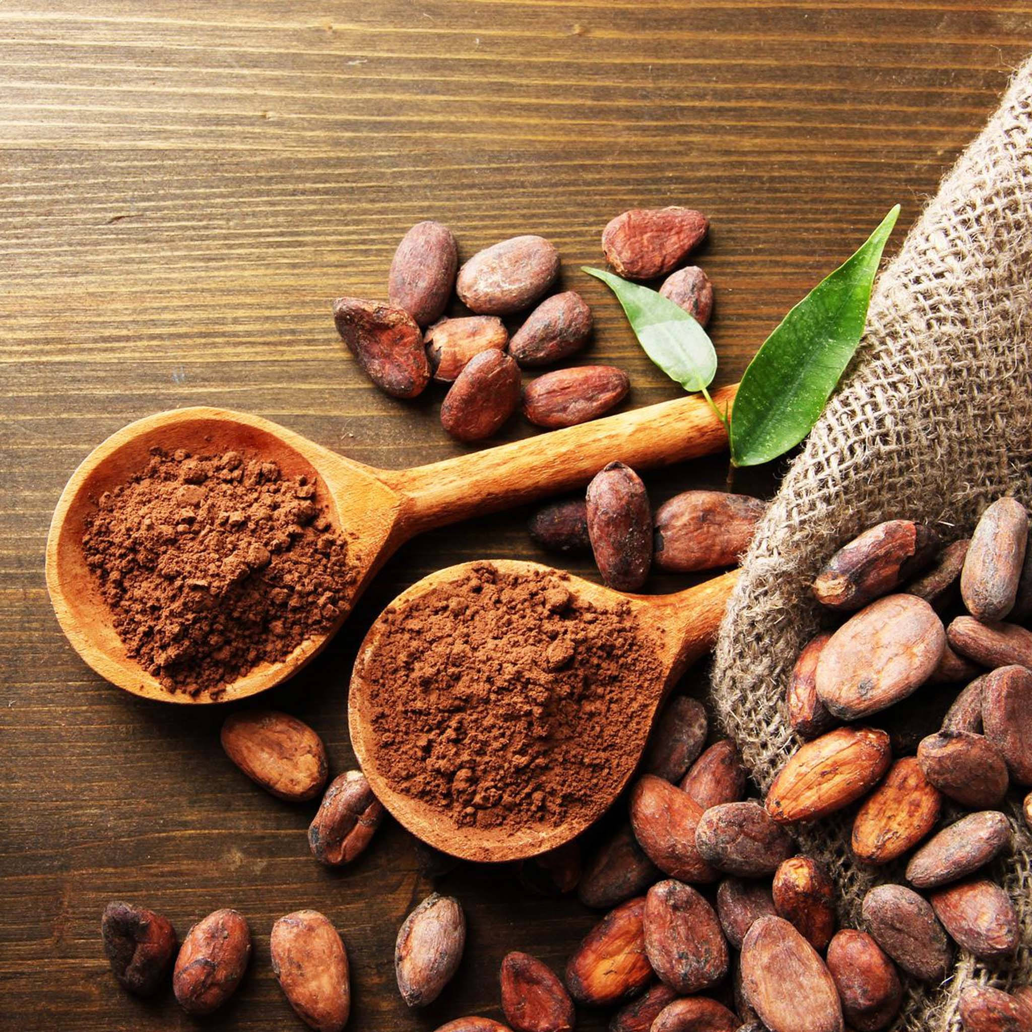 PREMIUM HIGH-QUALITY COCOA POWDER – FOOD-GRADE COCOA INGREDIENT 3