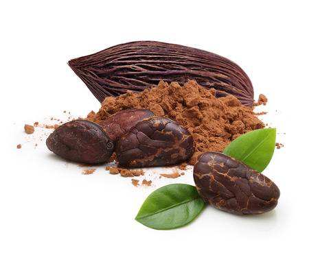 PREMIUM HIGH-QUALITY COCOA POWDER – FOOD-GRADE COCOA INGREDIENT 4