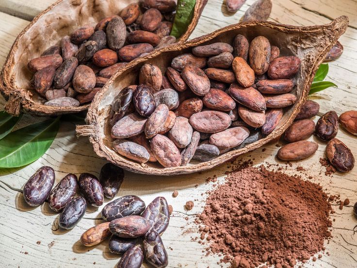 PREMIUM NATURAL COCOA BEANS – LARGE & UNIFORM | PRESERVATIVE-FREE 4