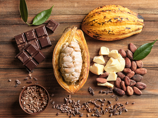 PREMIUM VIETNAMESE FERMENTED COCOA BEANS – SUN-DRIED | CHOCOLATE INDUSTRY SUPPLY 4