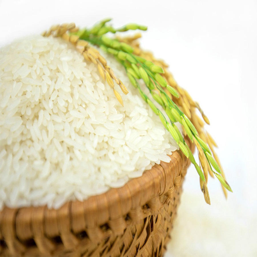 PREMIUM VIETNAMESE LONG-GRAIN WHITE RICE – EXPORT SUPPLY | 5% BROKEN | 3-YEAR SHELF LIFE 2