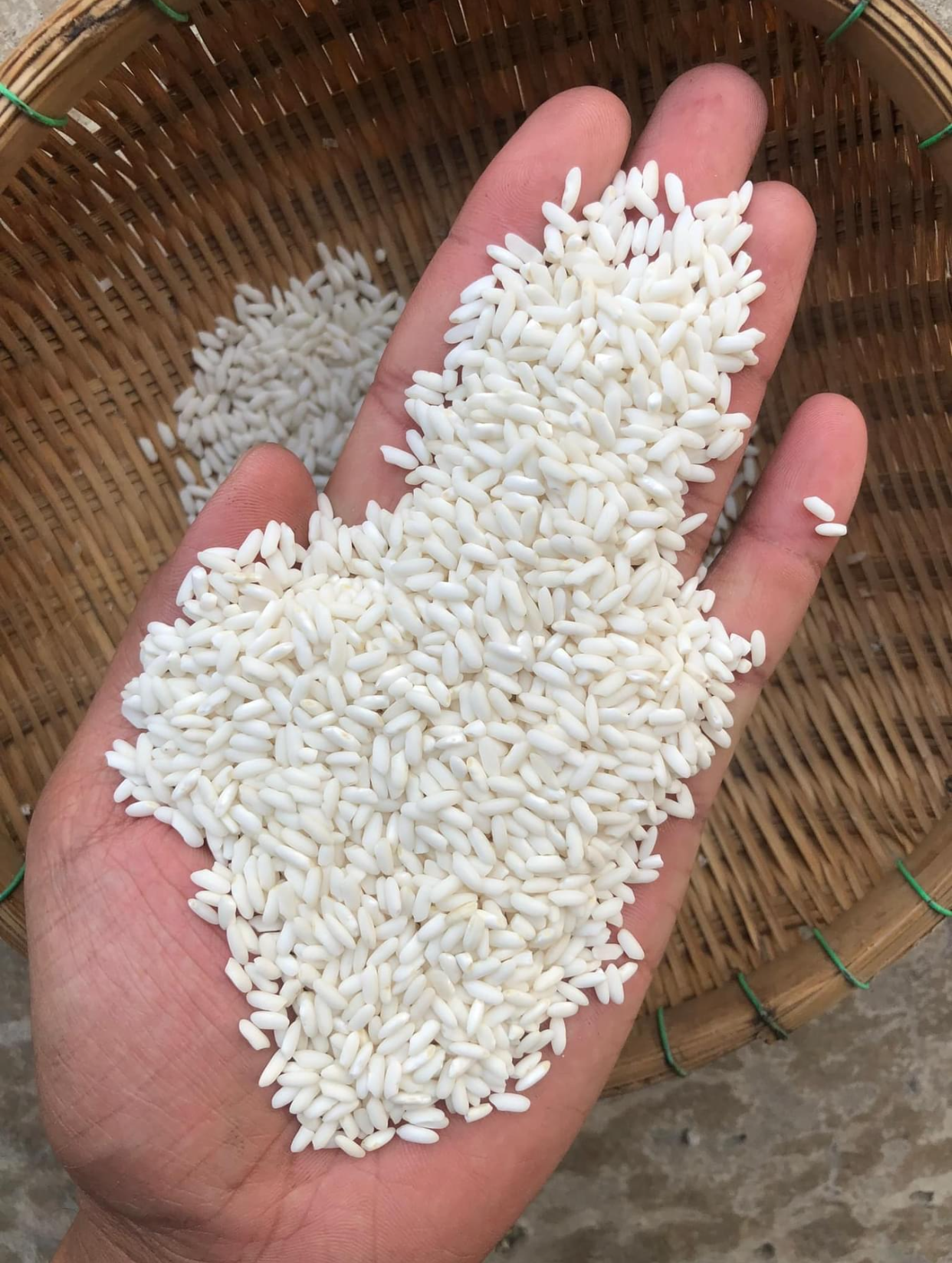 PREMIUM JAPANESE-STYLE SHORT-GRAIN WHITE RICE – CLEAN, SOFT & STICKY | COMPETITIVE B2B SUPPLY 2