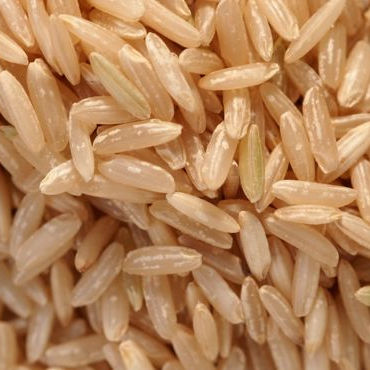 PREMIUM VIETNAMESE BROWN RICE – HIGH QUALITY | COMPETITIVE B2B SUPPLY