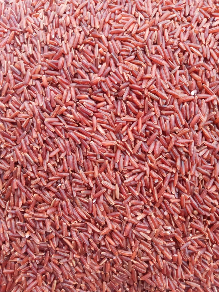 PREMIUM VIETNAMESE BROWN RICE – HIGH QUALITY | COMPETITIVE B2B SUPPLY 2