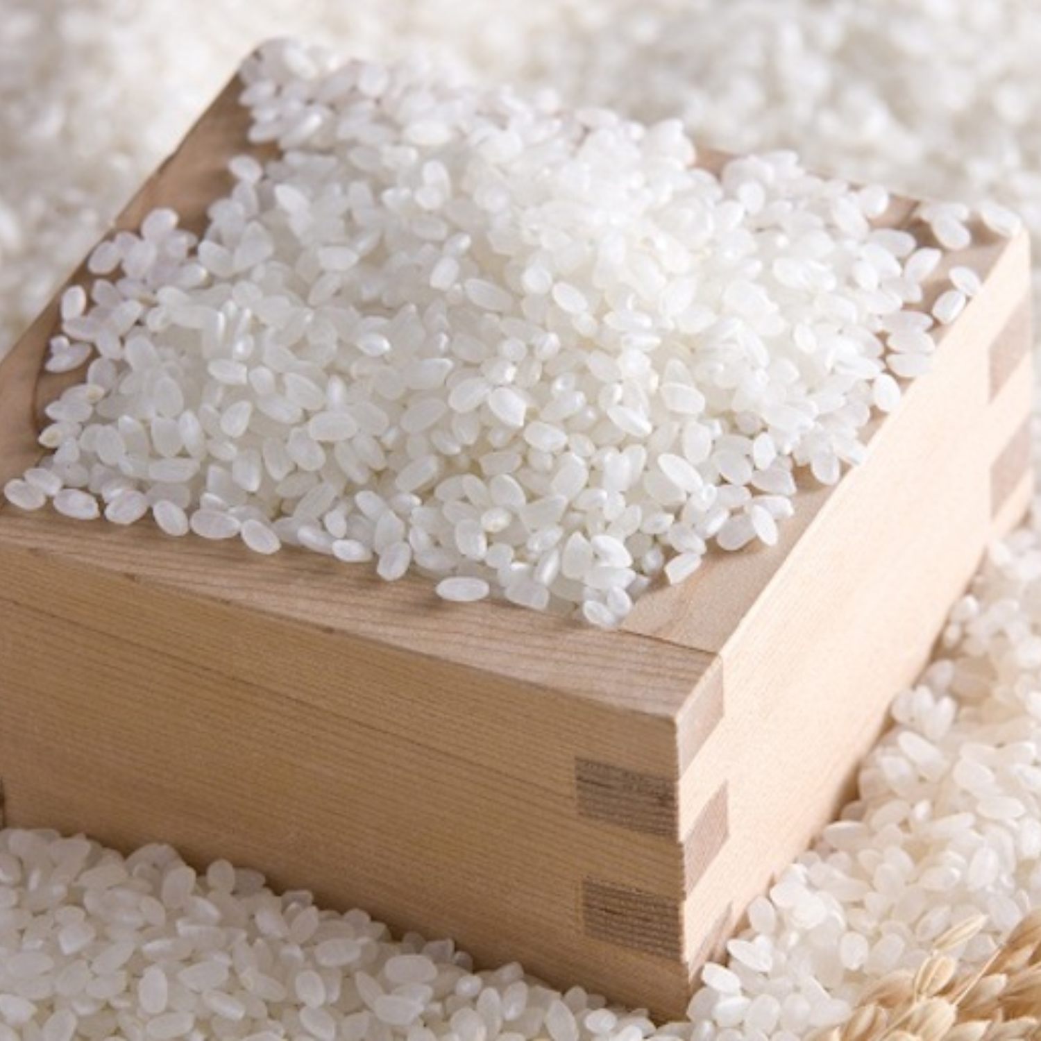 PREMIUM VIETNAMESE BROKEN RICE – NATURAL | BULK WHOLESALE | COMPETITIVE EXPORT SUPPLY