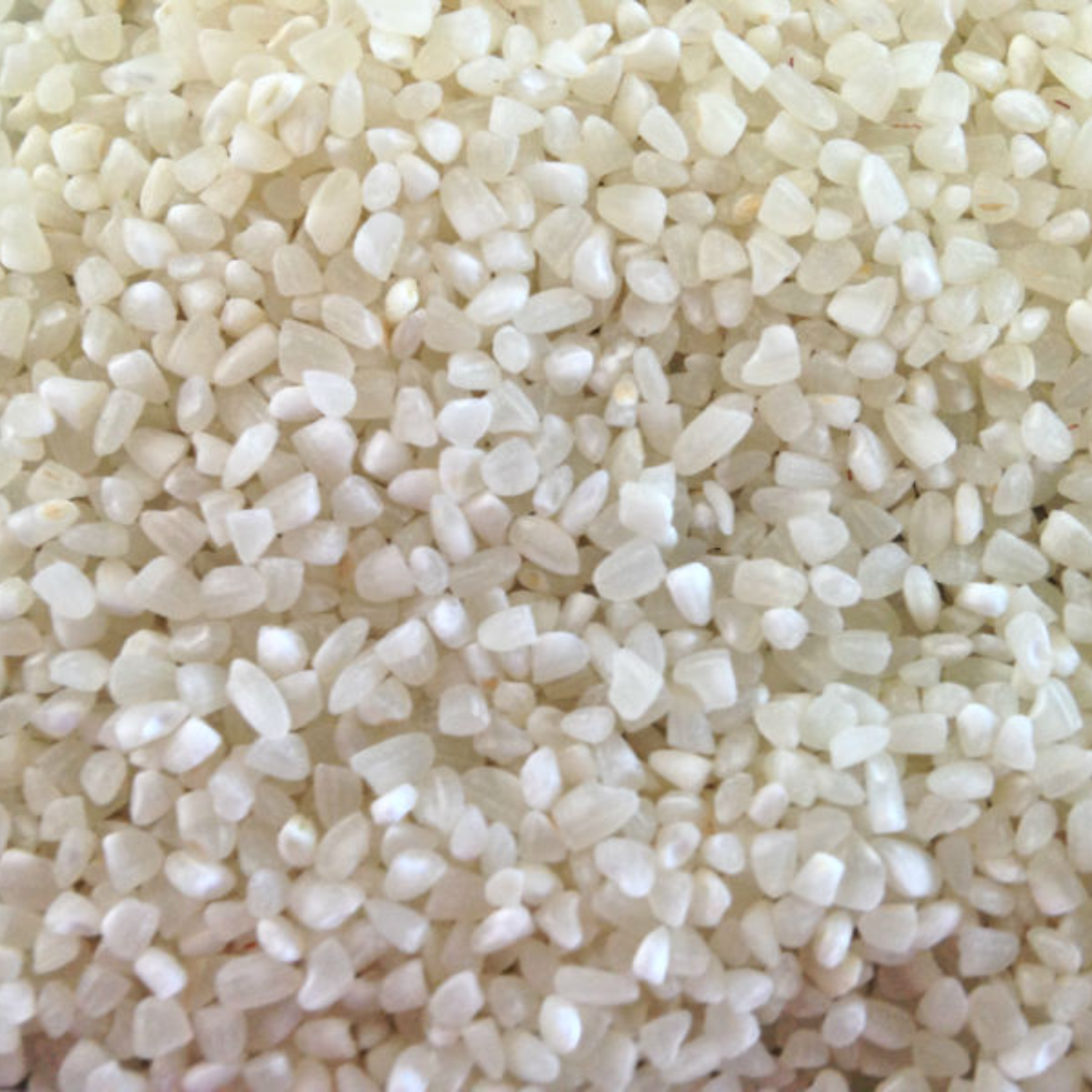 PREMIUM VIETNAMESE BROKEN RICE – NATURAL | BULK WHOLESALE | COMPETITIVE EXPORT SUPPLY 2