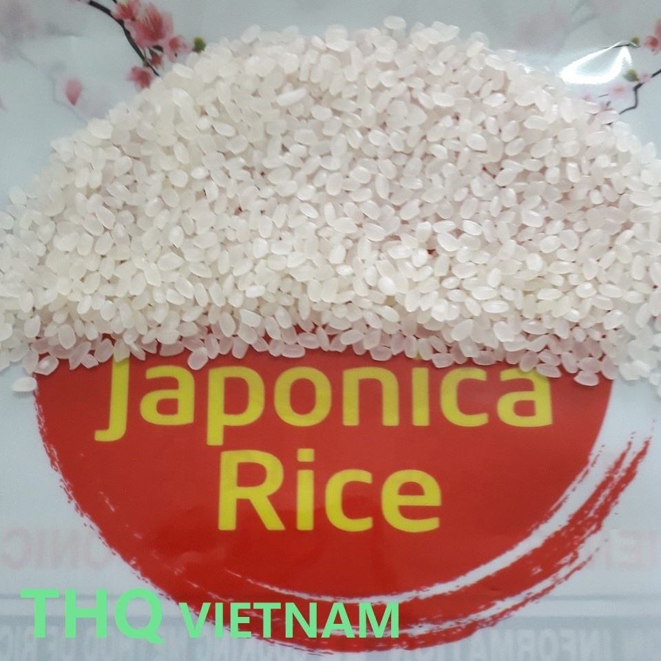 PREMIUM VIETNAMESE JAPONICA CALROSE-STYLE RICE – NEW CROP | 3% BROKEN | SUSHI