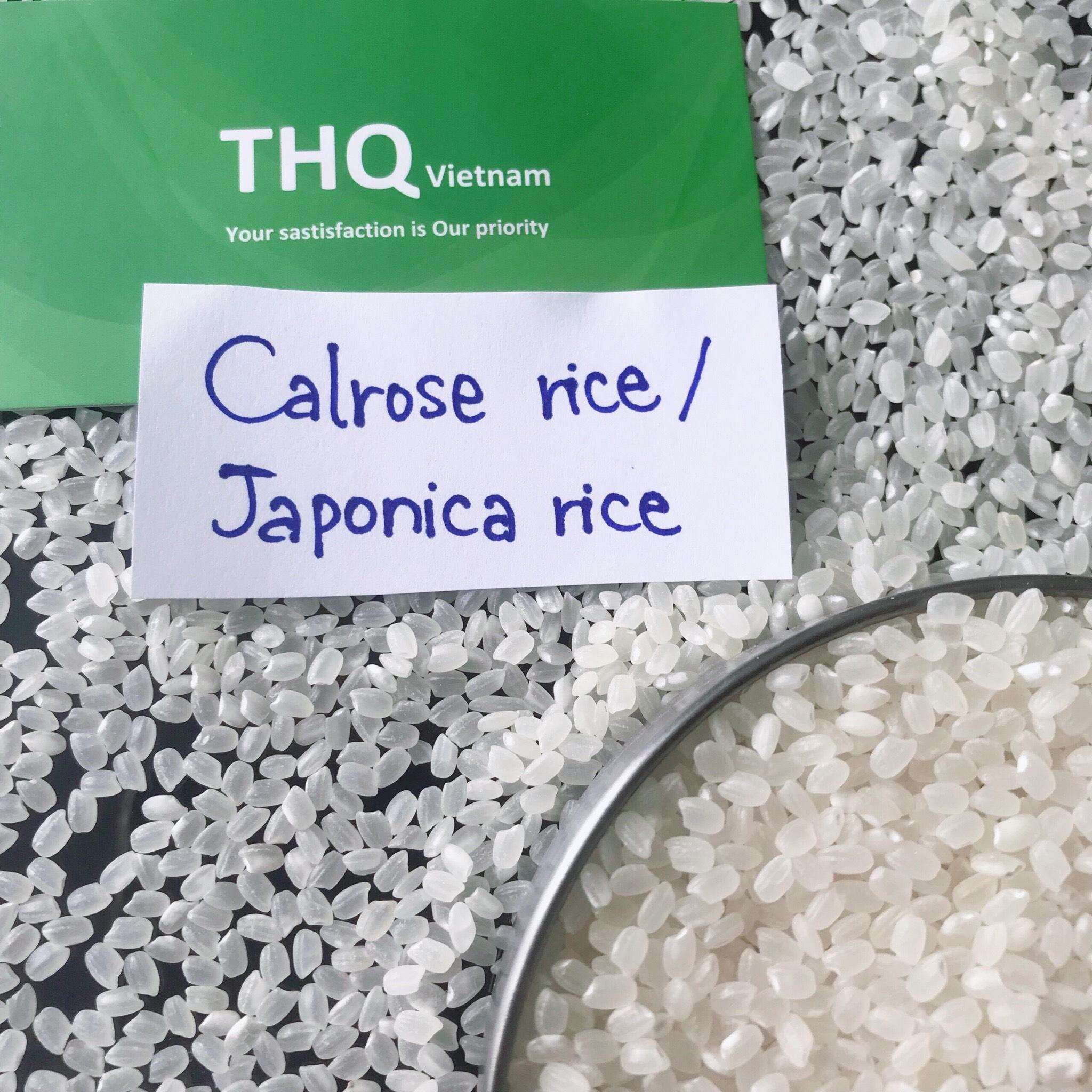 PREMIUM VIETNAMESE JAPONICA CALROSE-STYLE RICE – NEW CROP | 3% BROKEN | SUSHI 2