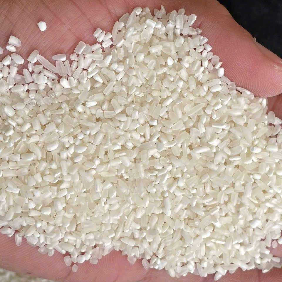 PREMIUM VIETNAMESE BROKEN WHITE RICE – FOOD-GRADE | FRESH SUPPLY | NOODLE PRODUCTION 3