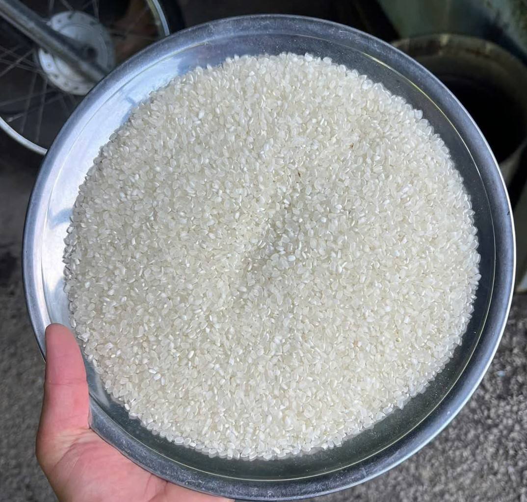 PREMIUM VIETNAMESE BROKEN RICE – NEW CROP | SOFT & STICKY | HIGH QUALITY 2