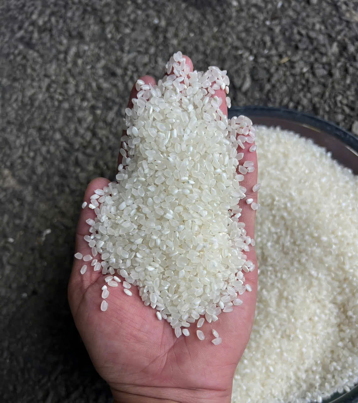 PREMIUM VIETNAMESE BROKEN RICE – NEW CROP | SOFT & STICKY | HIGH QUALITY 3