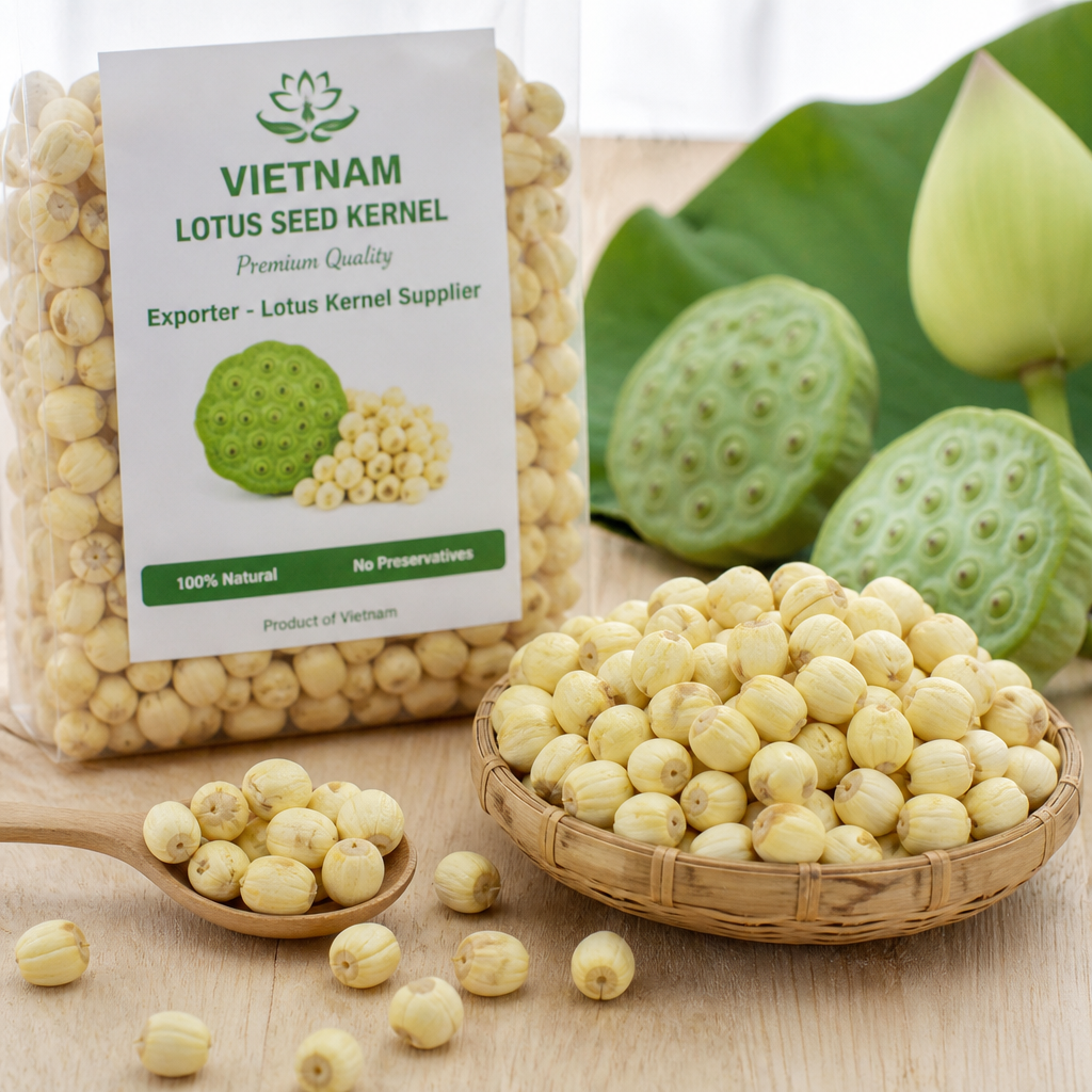 Vietnam Lotus Seed Kernel Exporter – Lotus Kernel Supplier
