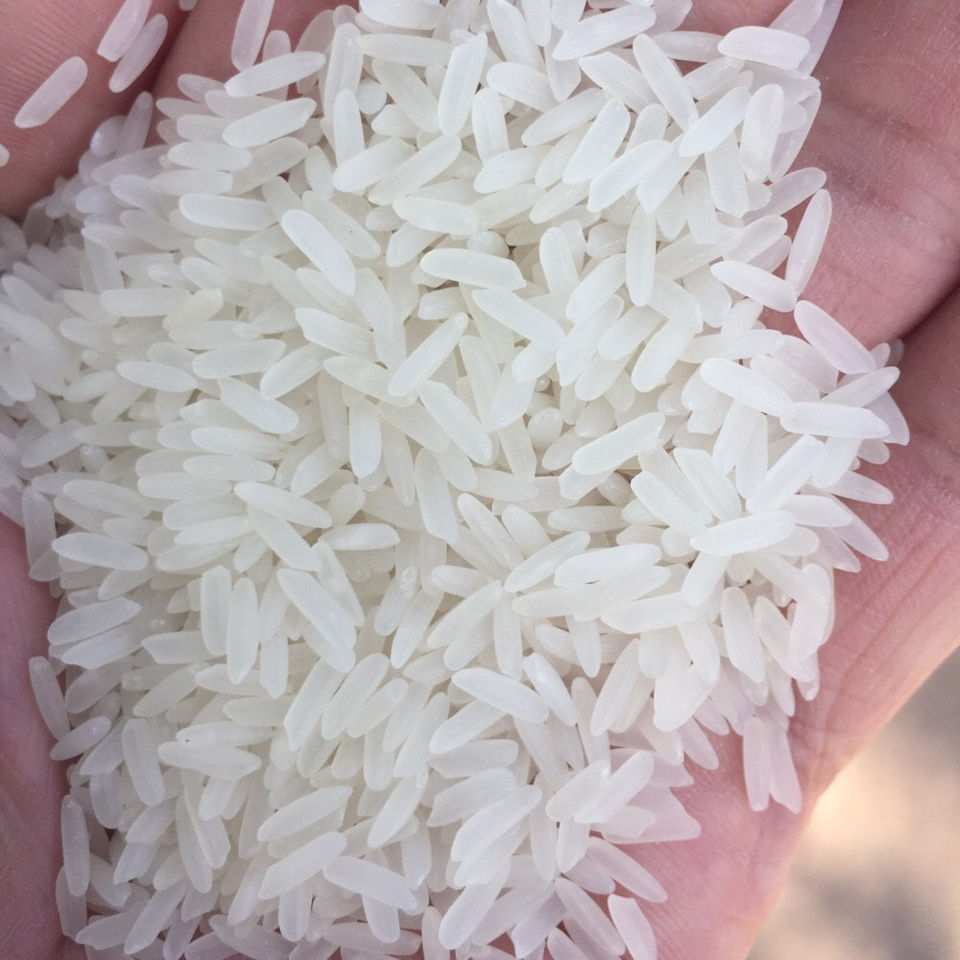 PREMIUM VIETNAMESE RICE NOODLES – ORGANIC | GLUTEN-FREE | NON-GMO | EXPORT QUALITY 4