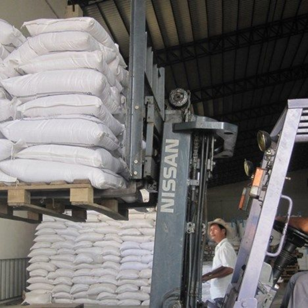 PREMIUM VIETNAMESE ORGANIC JASMINE WHITE RICE – LONG GRAIN | SOFT TEXTURE | NEW CROP 3