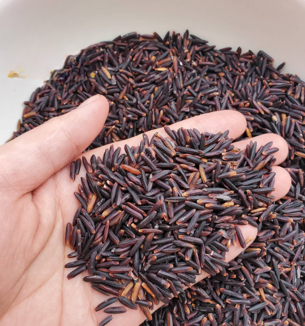 PREMIUM VIETNAMESE BLACK RICE – 5% BROKEN | NEW CROP | WHOLESALE EXPORT