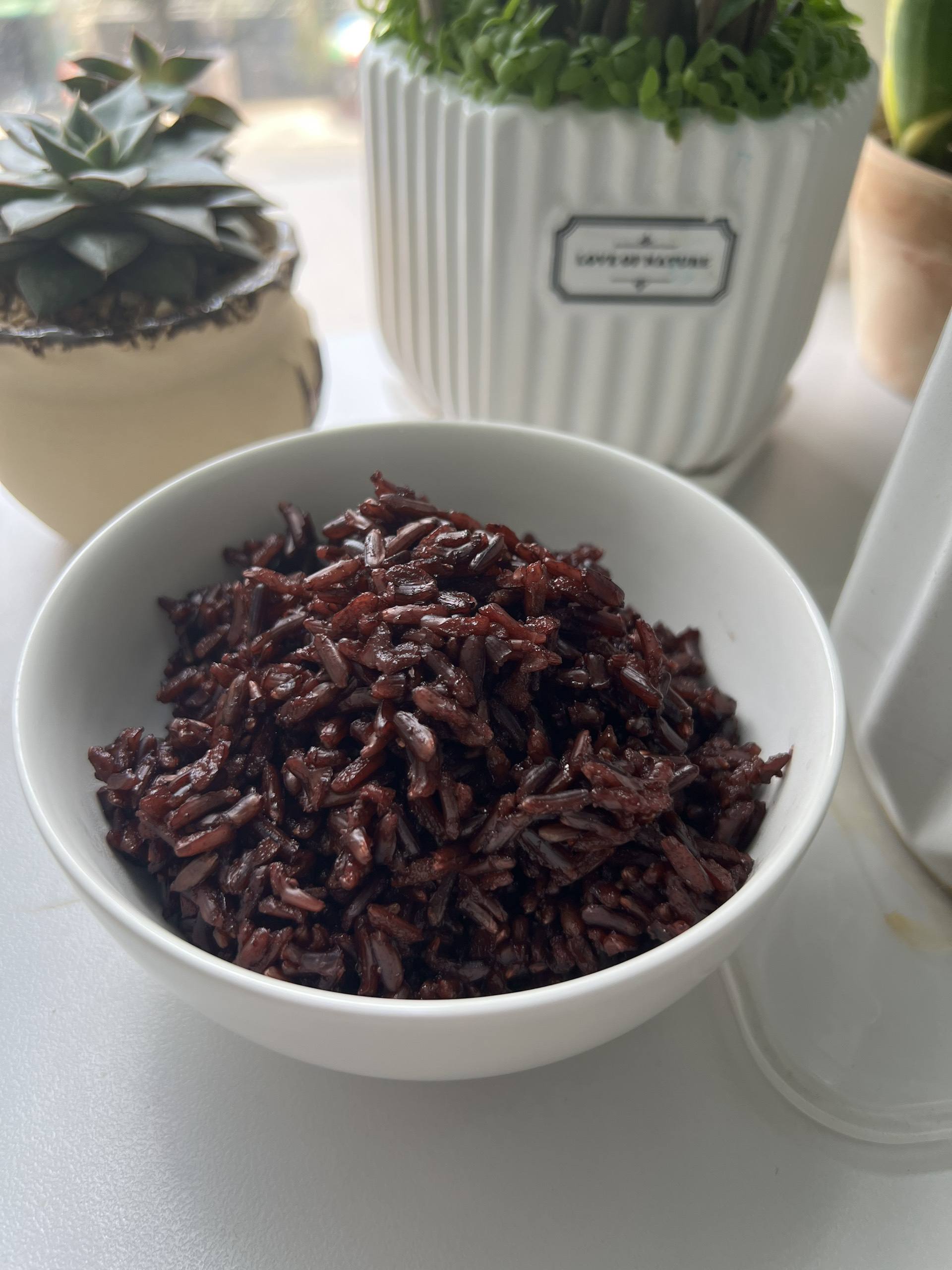 PREMIUM VIETNAMESE BLACK RICE – 5% BROKEN | NEW CROP | WHOLESALE EXPORT 2