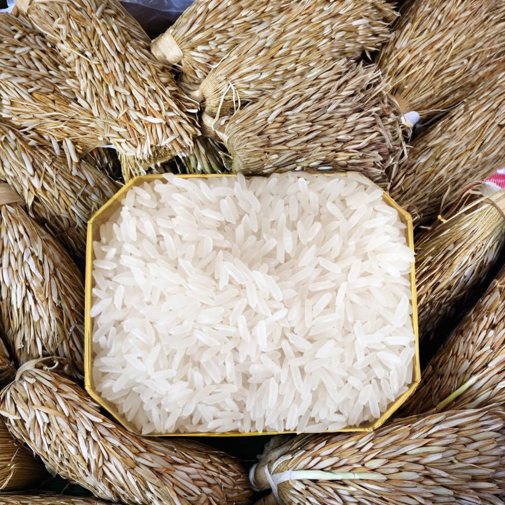 PREMIUM VIETNAMESE LONG-GRAIN JASMINE FRAGRANT RICE – 24-MONTH AGED | SOFT & SWEET | DIRECT FROM FACTORY