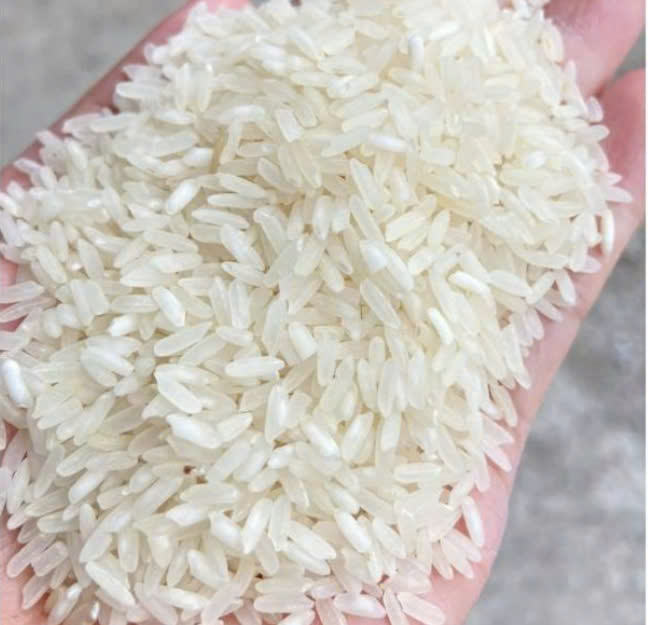PREMIUM VIETNAMESE 504 RICE – FOOD PROCESSING GRADE | LARGE-SCALE FACTORY SUPPLY 2