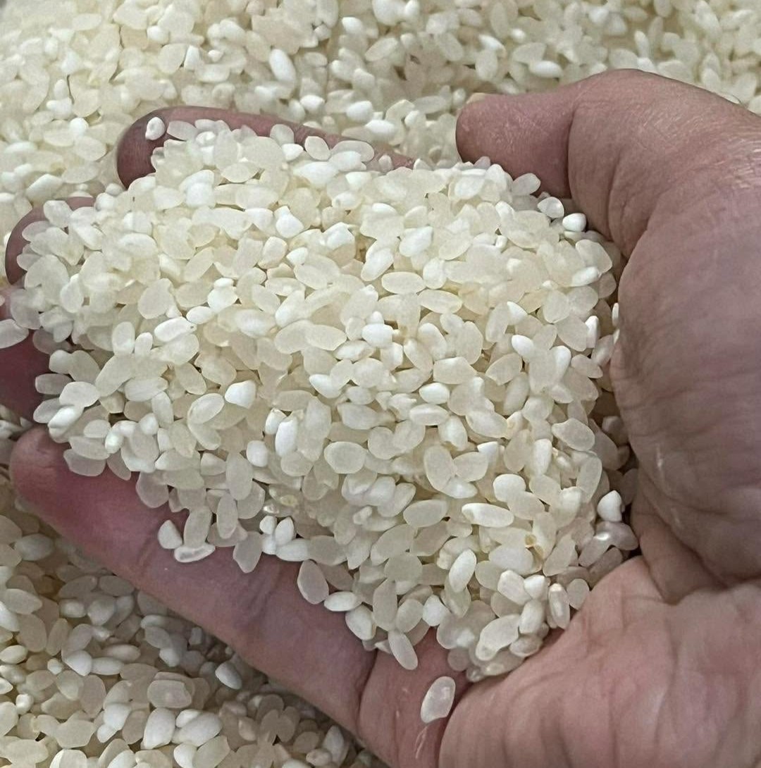 PREMIUM VIETNAMESE DRY GLUTINOUS RICE – SOFT TEXTURE | 25KG/50KG WOVEN PP BAGS | BULK SUPPLY