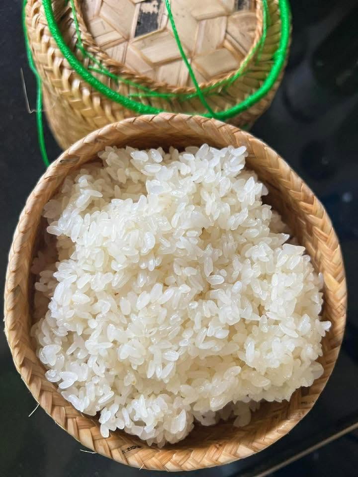 PREMIUM VIETNAMESE DRY GLUTINOUS RICE – SOFT TEXTURE | 25KG/50KG WOVEN PP BAGS | BULK SUPPLY 2