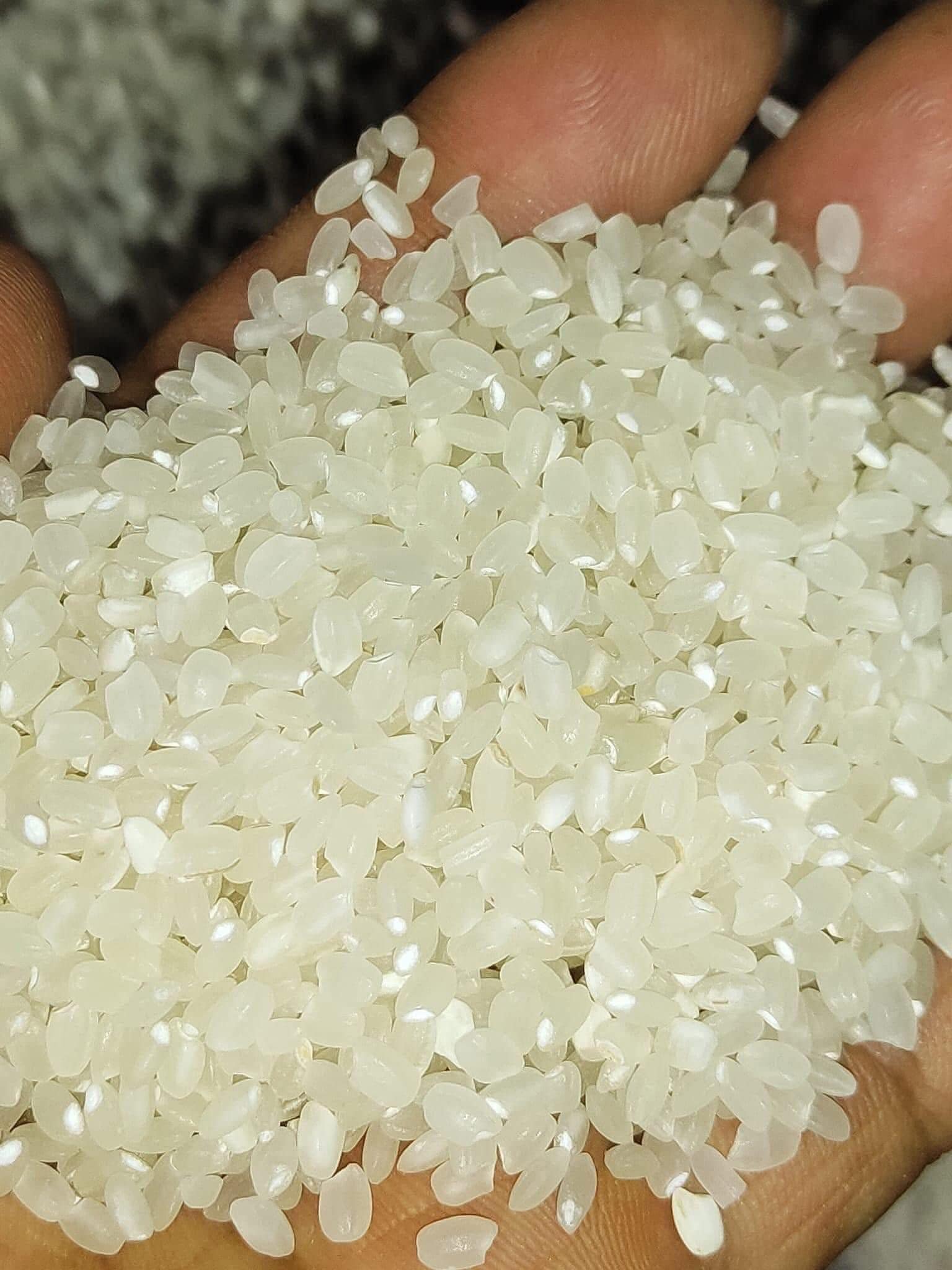 PREMIUM VIETNAMESE DRY GLUTINOUS RICE – SOFT TEXTURE | 25KG/50KG WOVEN PP BAGS | BULK SUPPLY 4