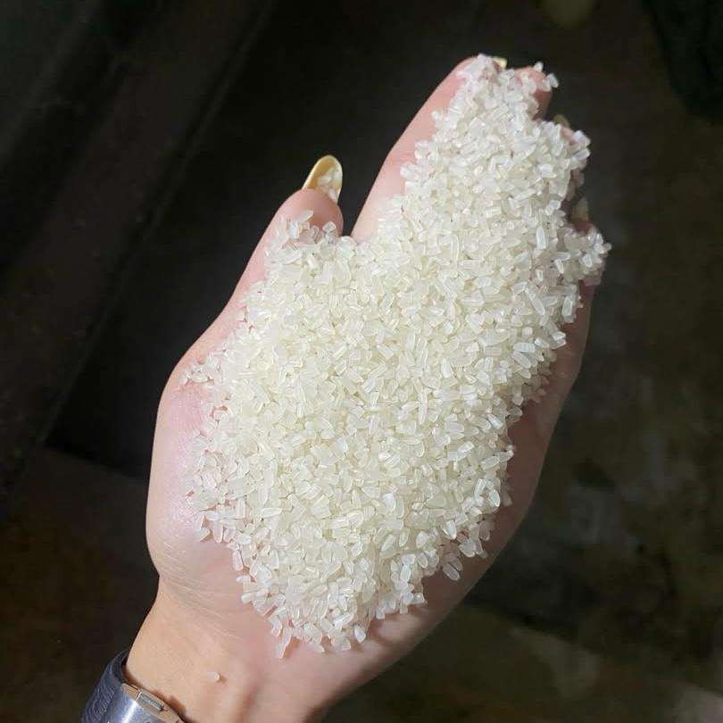 PREMIUM VIETNAMESE BROKEN RICE – HIGH QUALITY | DIRECT EXPORT FROM VIETNAM | BULK SUPPLY