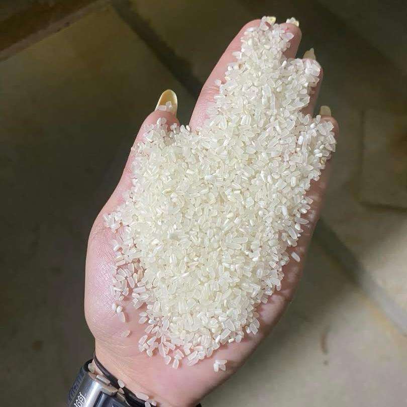PREMIUM VIETNAMESE BROKEN RICE – HIGH QUALITY | DIRECT EXPORT FROM VIETNAM | BULK SUPPLY 3