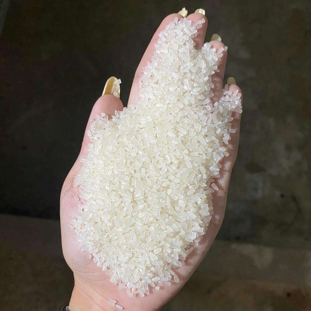 PREMIUM VIETNAMESE BROKEN RICE – HIGH QUALITY | DIRECT EXPORT FROM VIETNAM | BULK SUPPLY 4