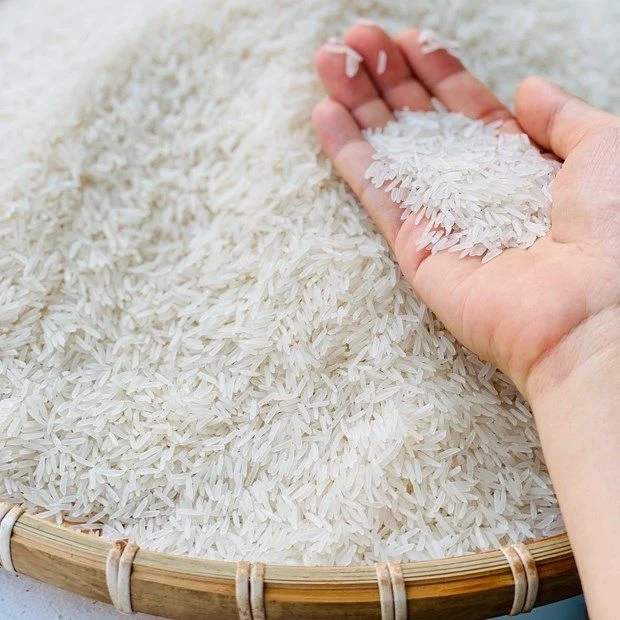 PREMIUM VIETNAMESE ST25 RICE – 24-MONTH AGED | LONG-GRAIN | SOFT & STICKY | FRAGRANT 2