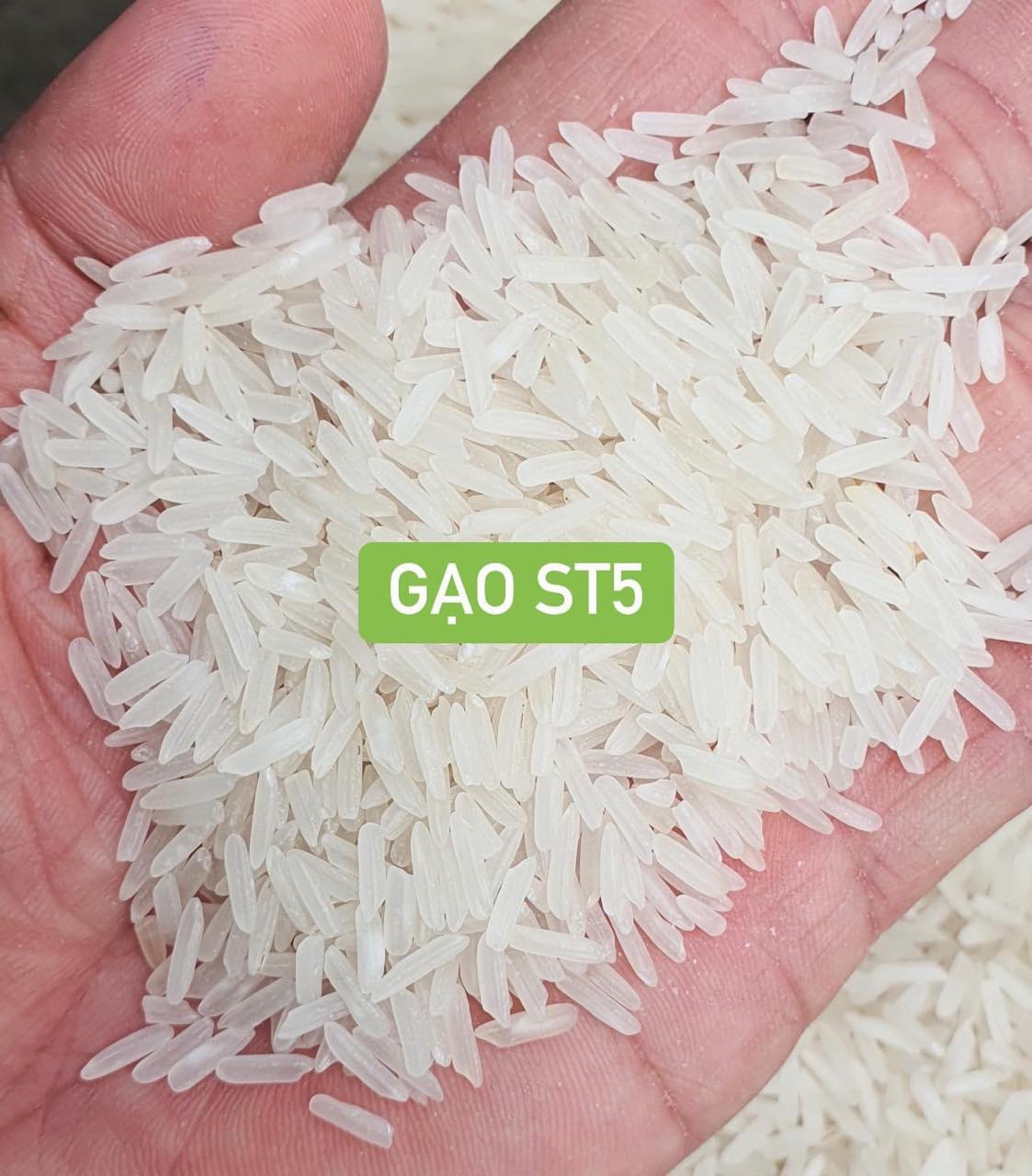 PREMIUM VIETNAMESE ST25 RICE – FRESH CROP | OEM | BULK SUPPLY 4