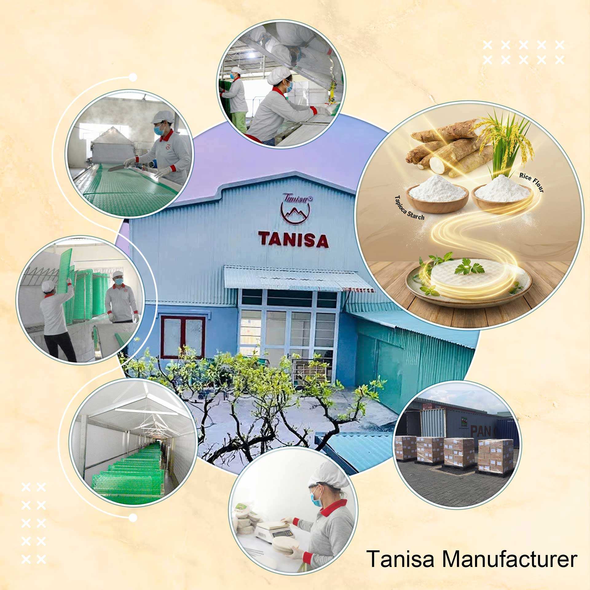 PREMIUM VIETNAMESE TURMERIC RICE PAPER – FSSC | HALAL | ISO | HACCP | OEM/PRIVATE LABEL 4