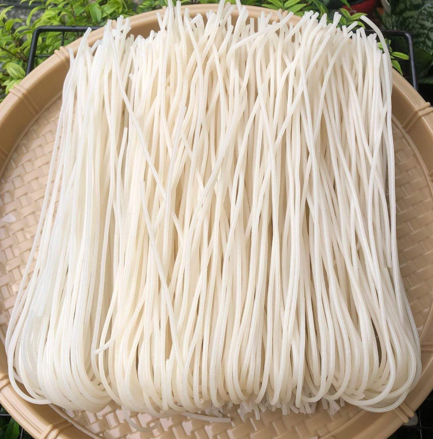 PREMIUM VIETNAMESE FRESH RICE VERMICELLI – GLUTEN-FREE | AUTHENTIC VIETNAMESE STYLE