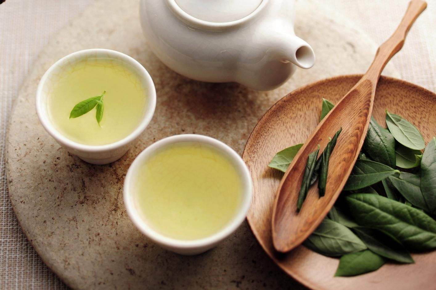 PREMIUM VIETNAMESE WHOLESALE GREEN TEA – FACTORY DIRECT | OP OPA | ORGANIC OPTION 2