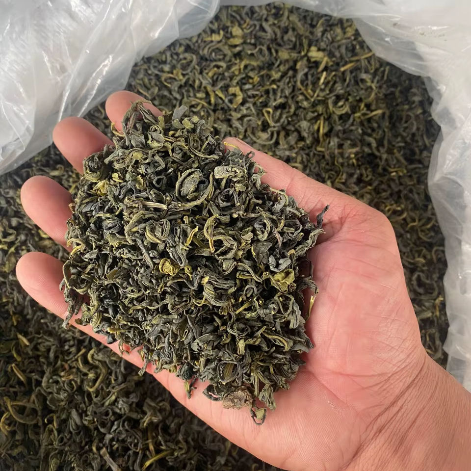 PREMIUM VIETNAMESE GREEN TEA – HIGH QUALITY | WHOLE GREEN LEAVES | BULK EXPORT 4