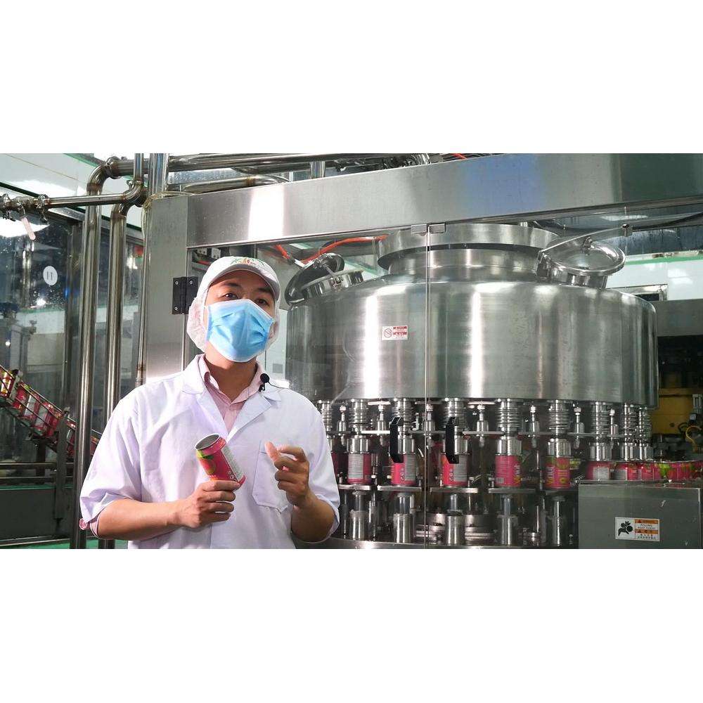 PREMIUM VIETNAMESE GREEN TEA SODA 500ML – SPARKLING BEVERAGE | WHOLESALE SUPPLIER 3