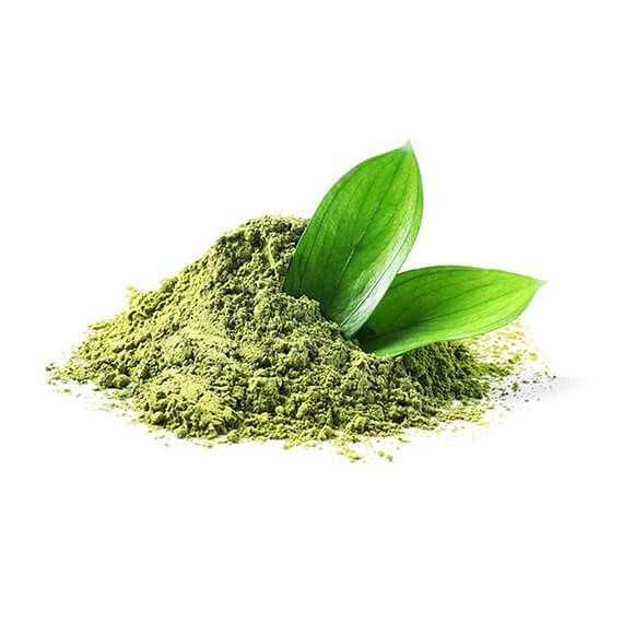 PREMIUM VIETNAMESE GREEN TEA POWDER – NATURAL TEA INGREDIENT | WHOLESALE
