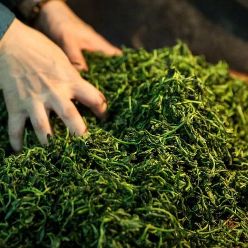 PREMIUM VIETNAMESE LOOSE-LEAF GREEN TEA – NATURAL SUN-DRIED | OEM EXPORT SUPPLY 4