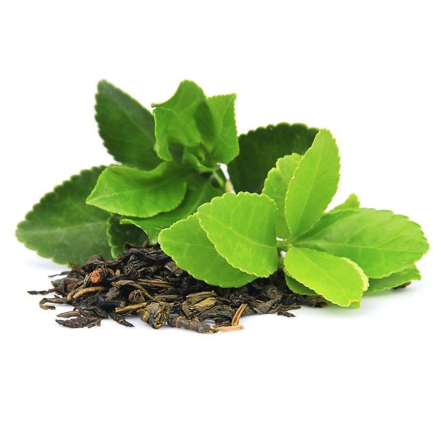 PREMIUM VIETNAMESE GREEN TEA LEAVES – GAP CERTIFIED | 1KG BULK PACK