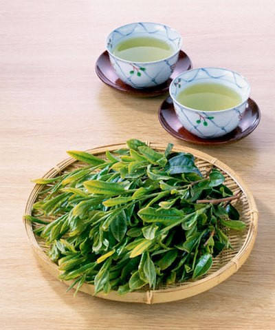 PREMIUM VIETNAMESE GREEN TEA – ATTRACTIVE COLOR | DUTY-ELIGIBLE EXPORT SUPPLY 4
