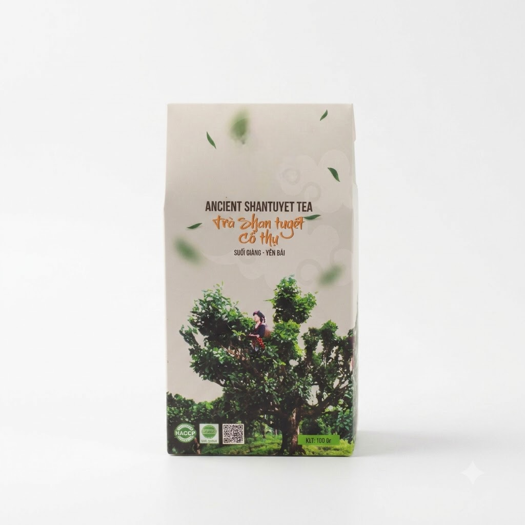 PREMIUM VIETNAMESE SHAN TUYET GREEN TEA 100G – BULK & B2B CUSTOM BLENDING 2