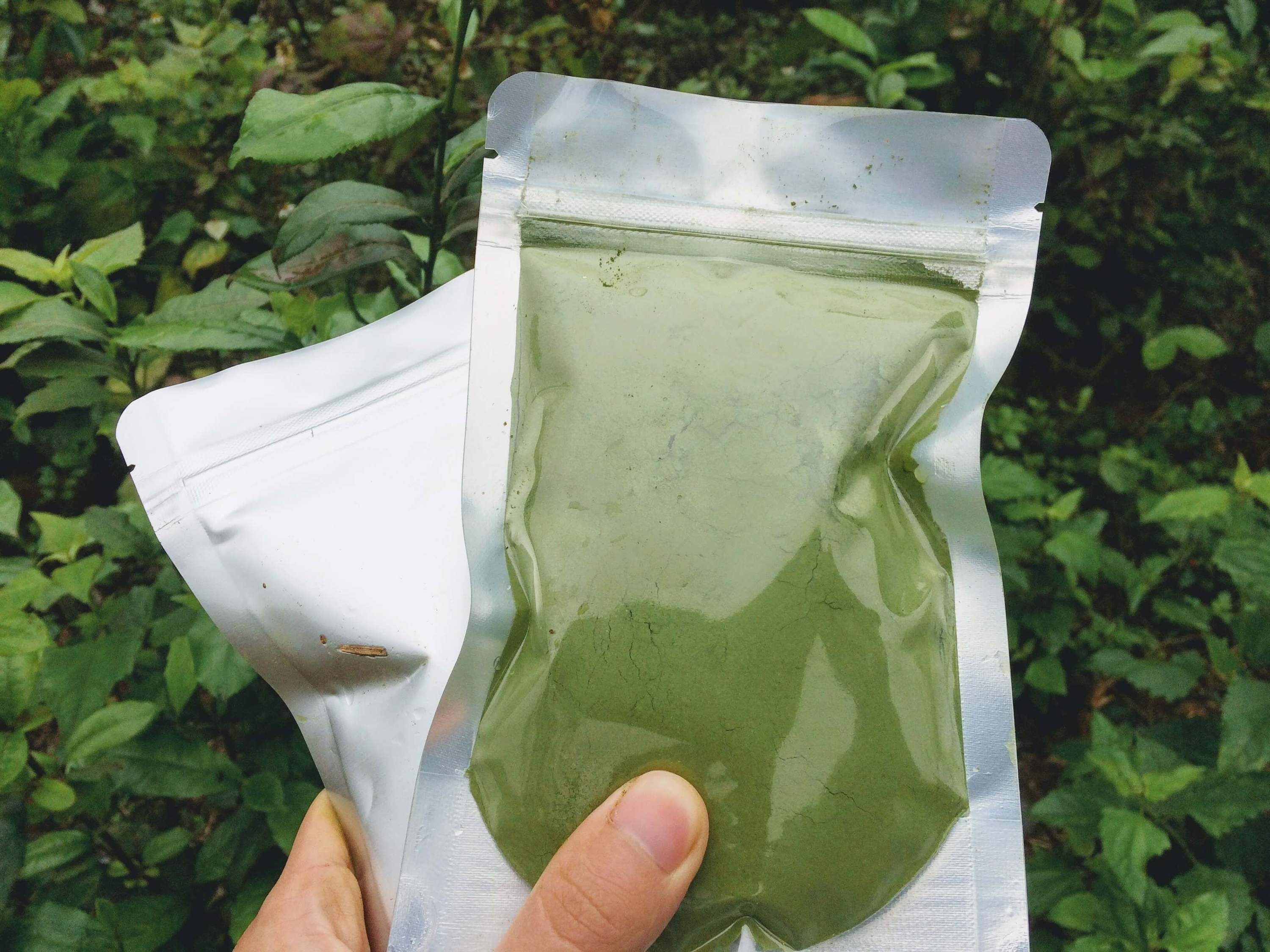 PREMIUM VIETNAMESE GREEN MATCHA – NATURAL GREEN COLOR | 2025 CROP | WHOLESALE SUPPLY 3