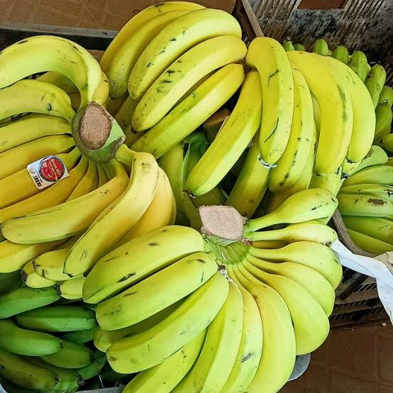 PREMIUM VIETNAMESE FRESH BANANA – NATURALLY SWEET | WHOLESALE EXPORT