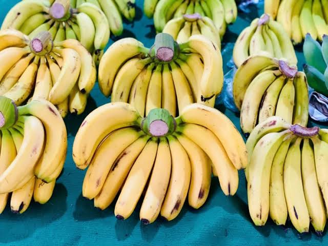 PREMIUM VIETNAMESE FRESH BANANA – NATURALLY SWEET | WHOLESALE EXPORT 2
