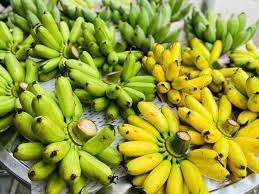 PREMIUM VIETNAMESE FRESH BANANA – NATURALLY SWEET | WHOLESALE EXPORT 4