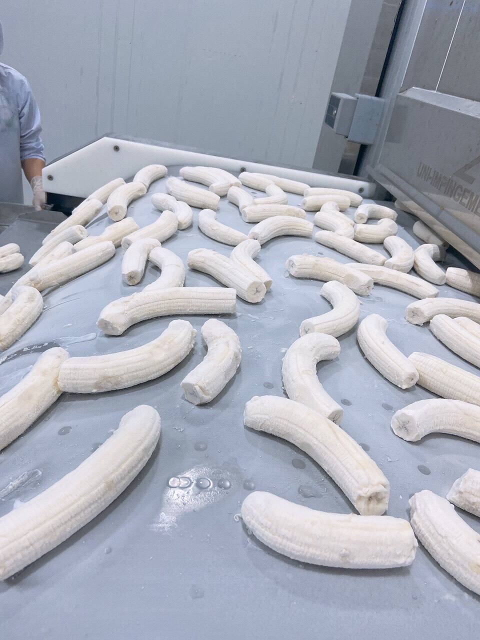 PREMIUM VIETNAMESE FROZEN CAVENDISH BANANA – SLICES & PUREE | BULK VACUUM PACK 4