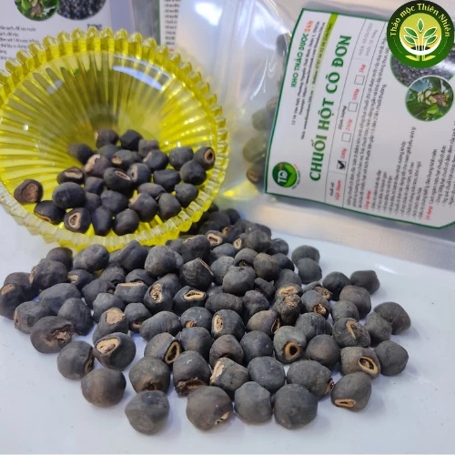 VIETNAMESE “CHUỐI CÔ ĐƠN” BANANA – ELEPHANT FOOT / LARGE-SEED TYPE | WHOLESALE 3