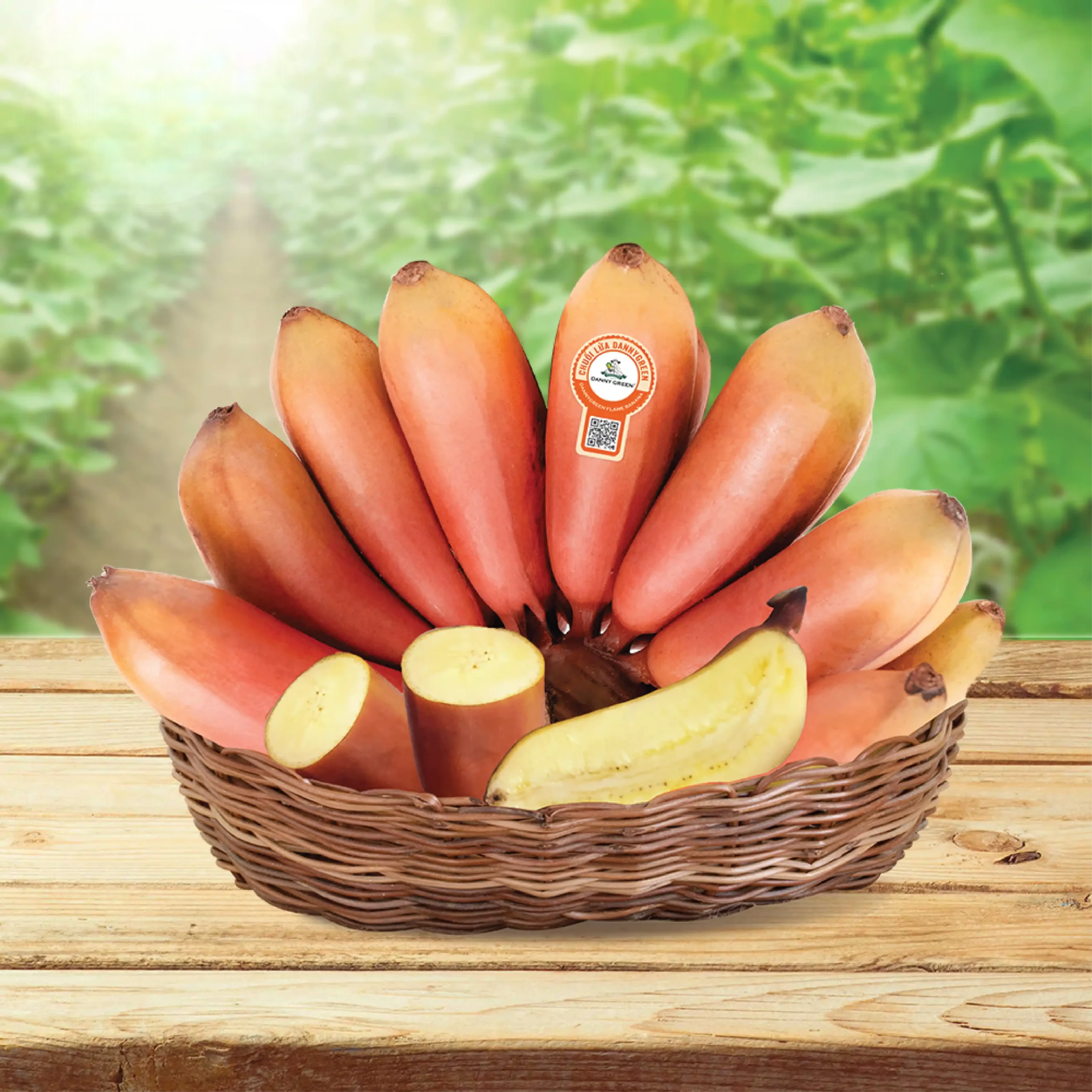 PREMIUM VIETNAMESE RED DWARF BANANAS – SWEET & AROMATIC | FRESH WHOLESALE